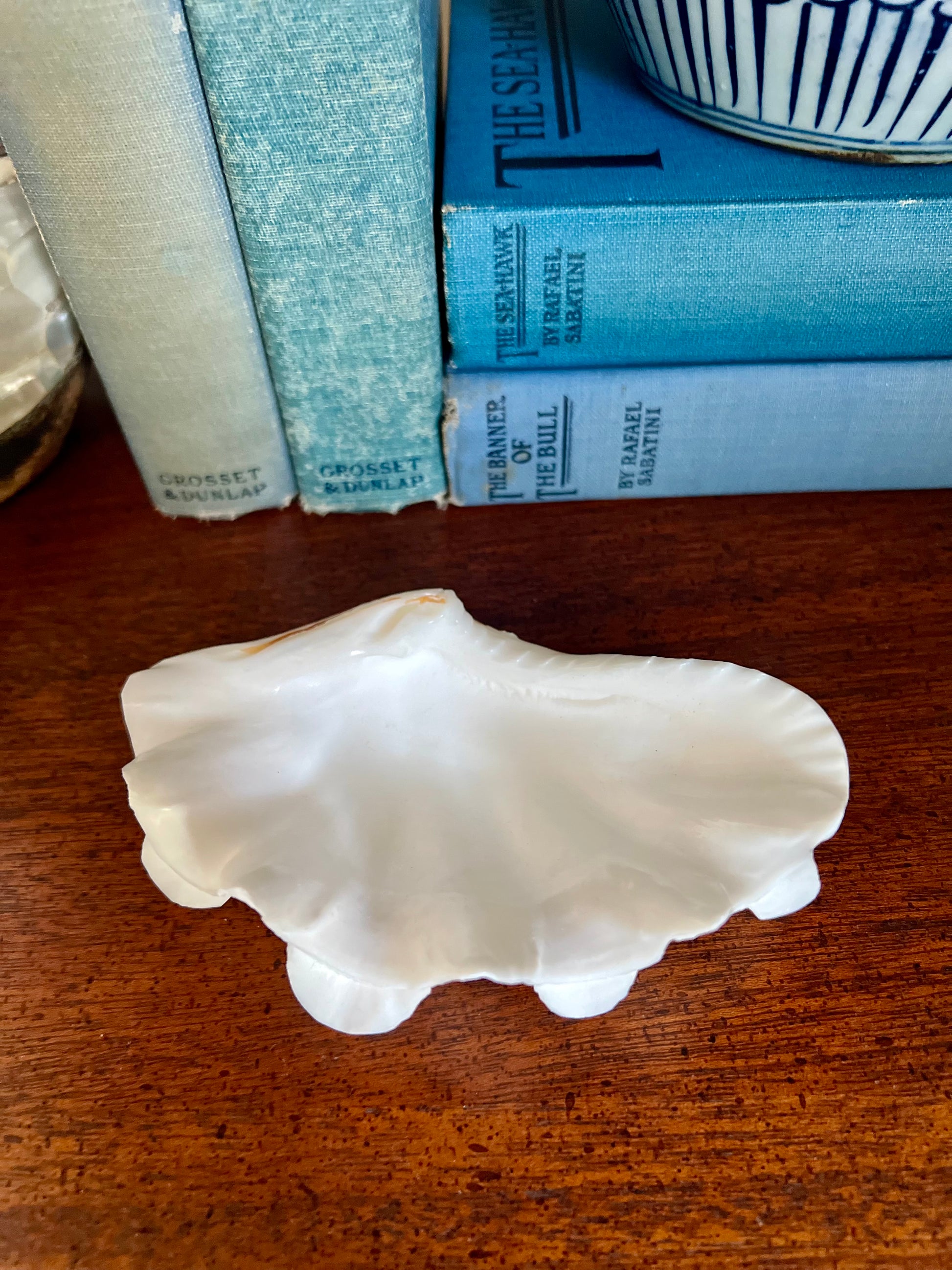 Natural Clamshell Trinket Dish