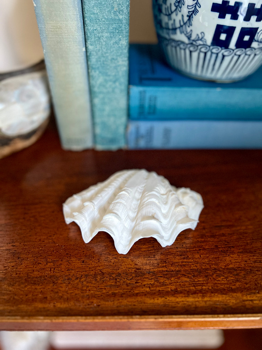 Natural Clamshell Trinket Dish
