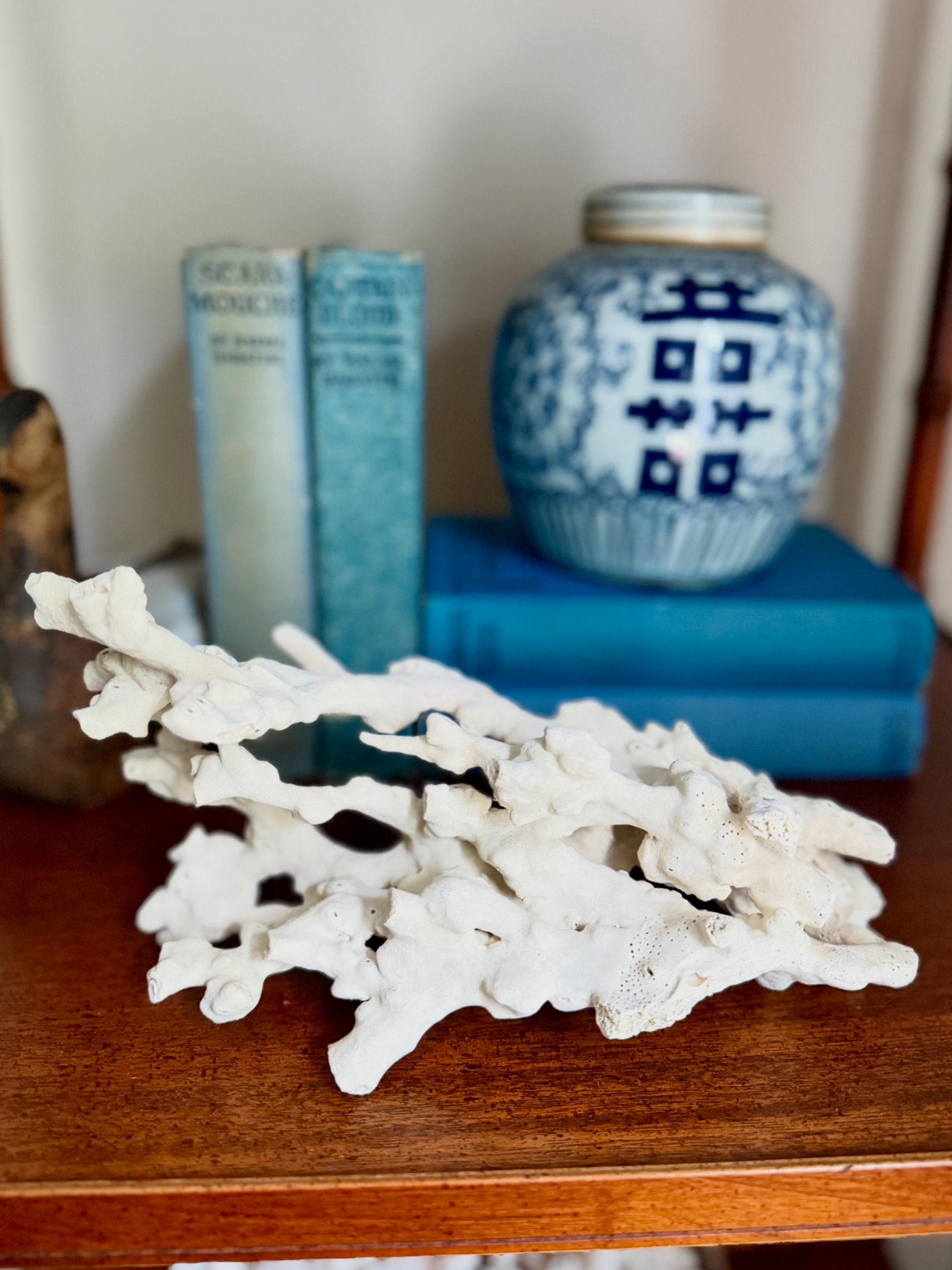 Natural Coral Cluster