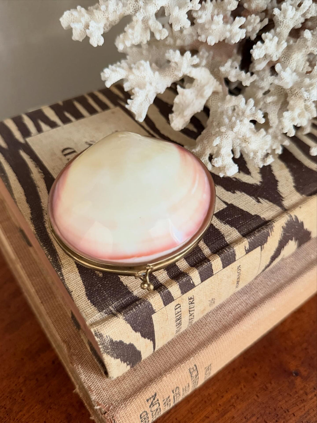 Polished Clam Shell Coin Purse