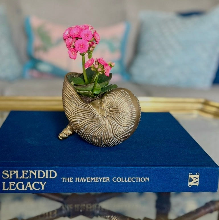 Brass Nautilus Shell Cachepot