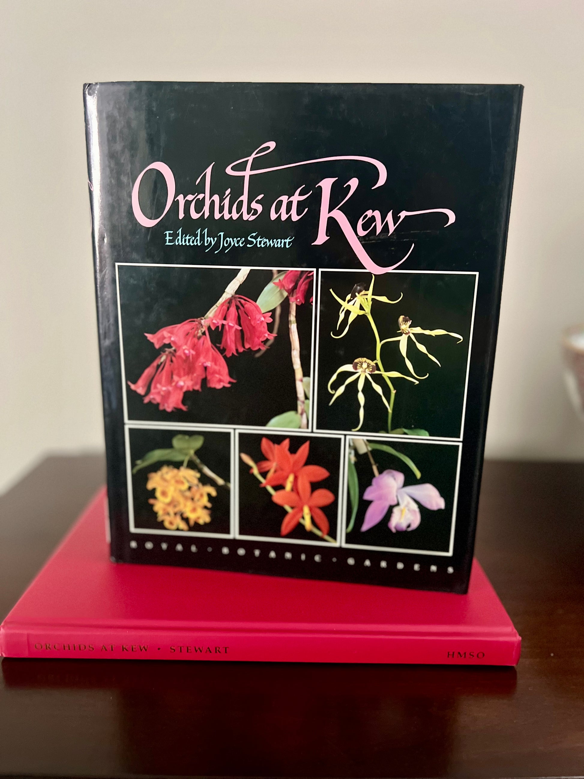 Orchids at Kew, 1992