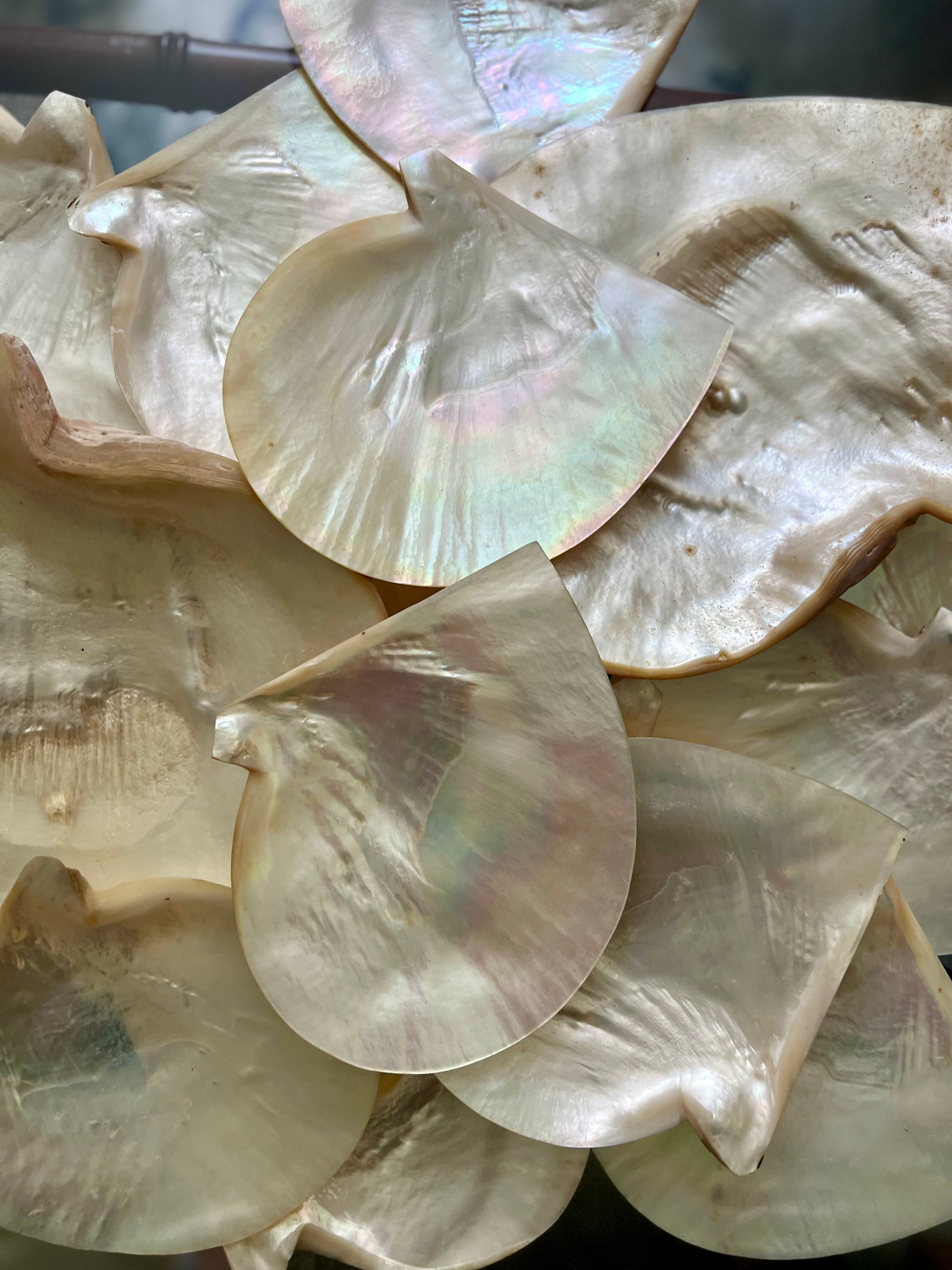 Set of 14 Polished Mother of Pearl Plates and Dishes