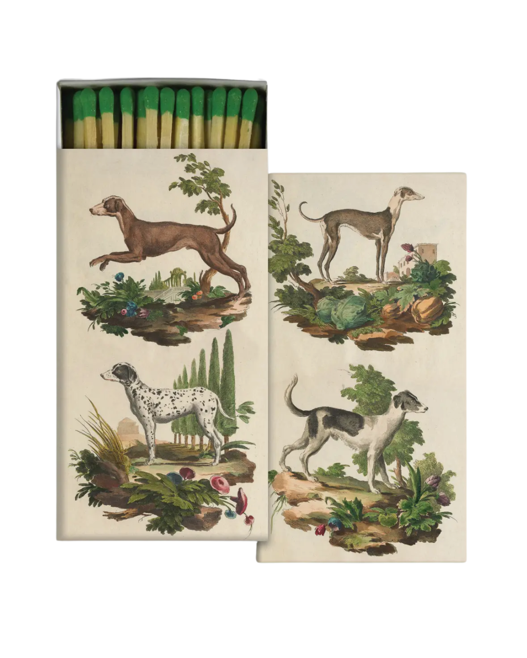 Italian Dogs Matchbox