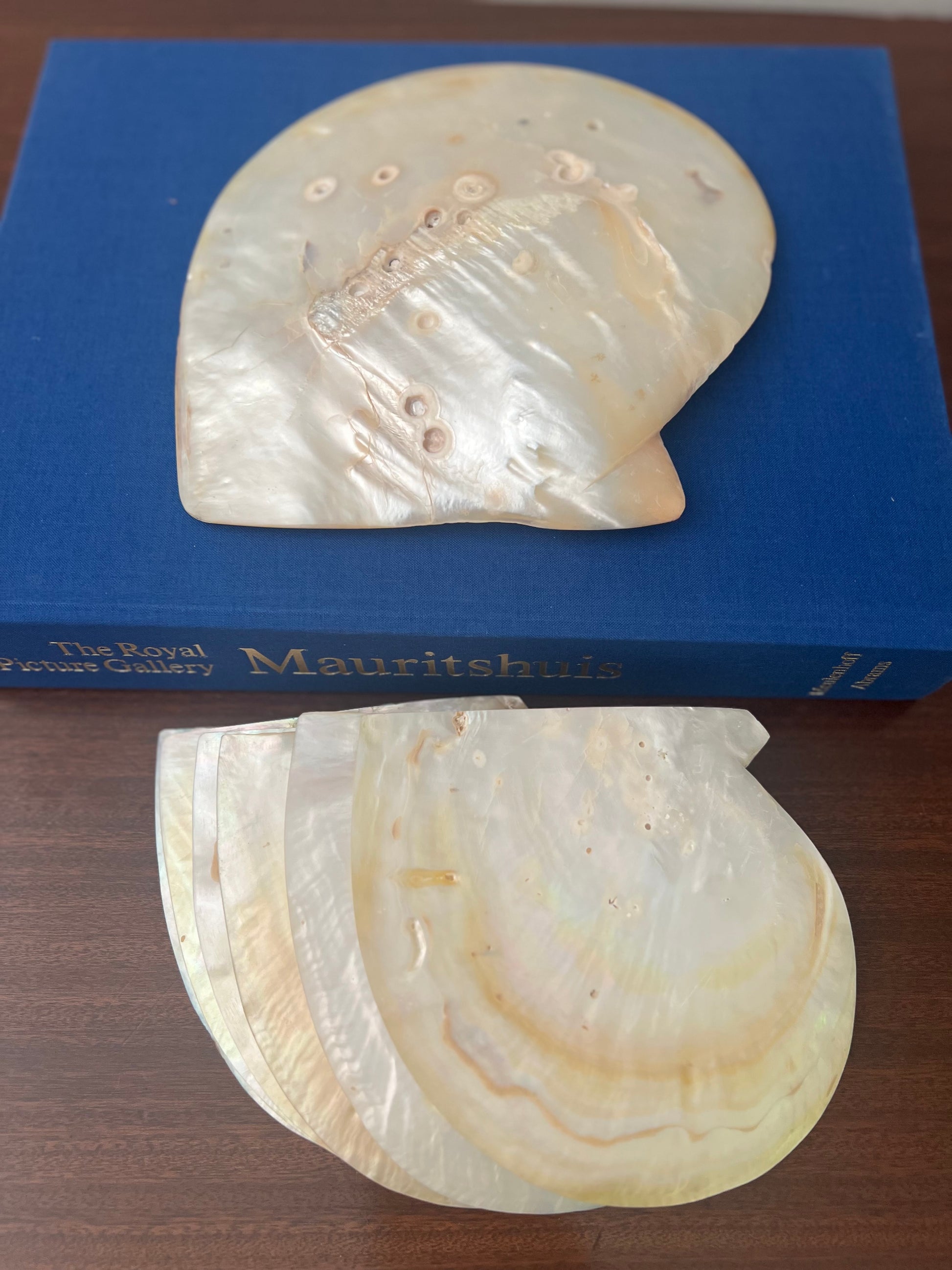Set of 14 Polished Mother of Pearl Plates and Dishes