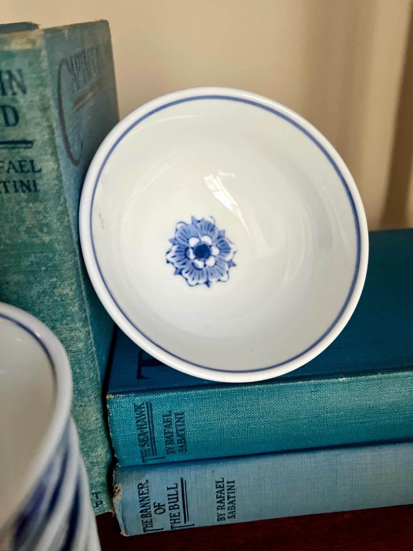 Blue and White Bowl