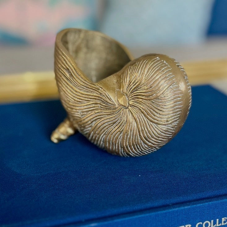 Brass Nautilus Shell Cachepot