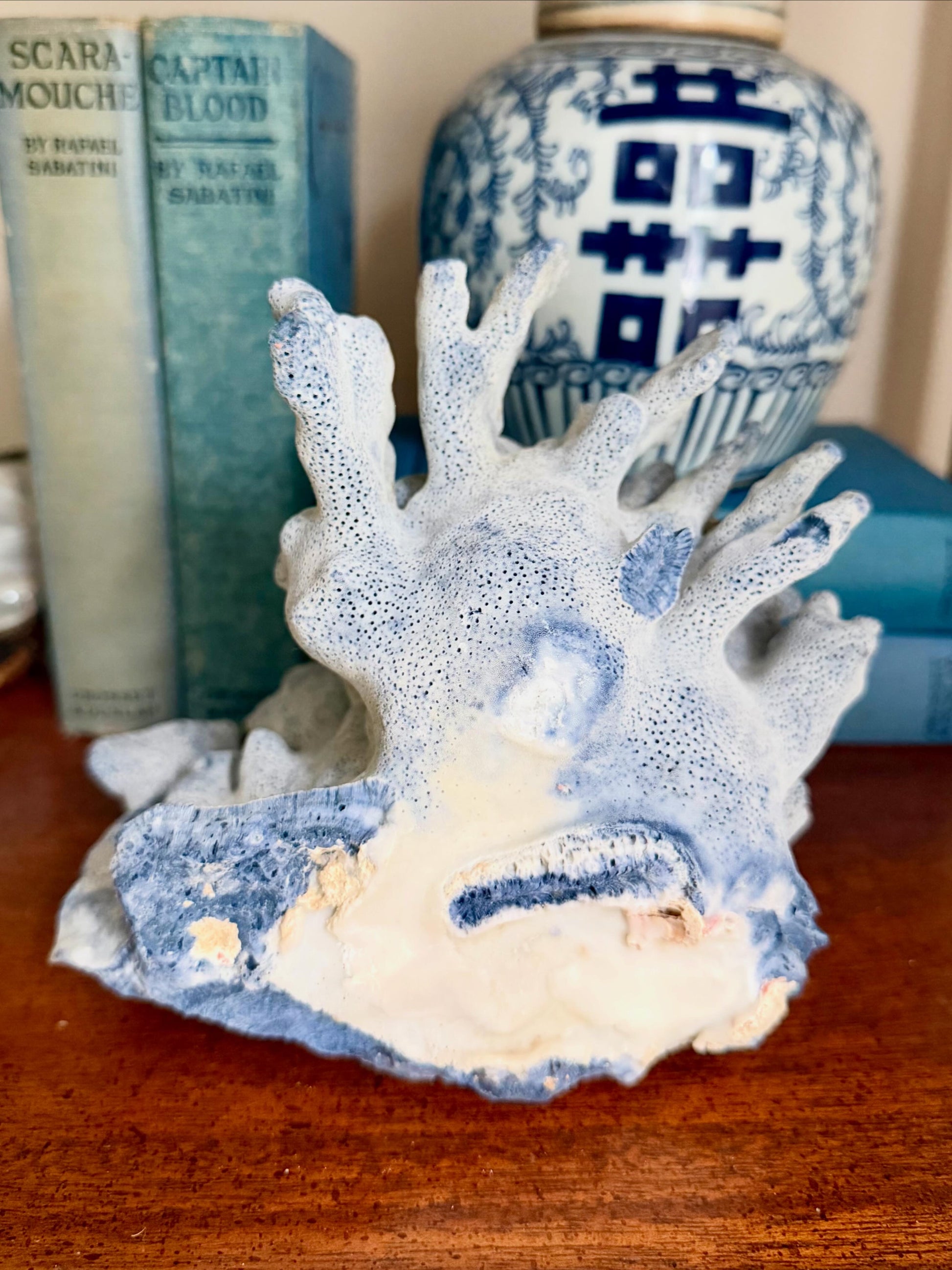 Natural Blue Ridge Coral