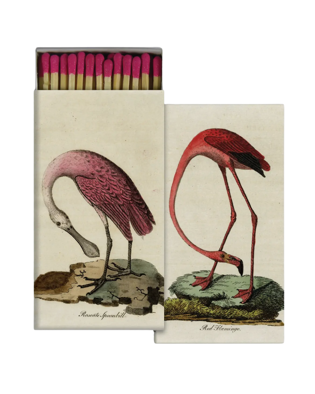 Flamingo and Spoonbill Matchbox