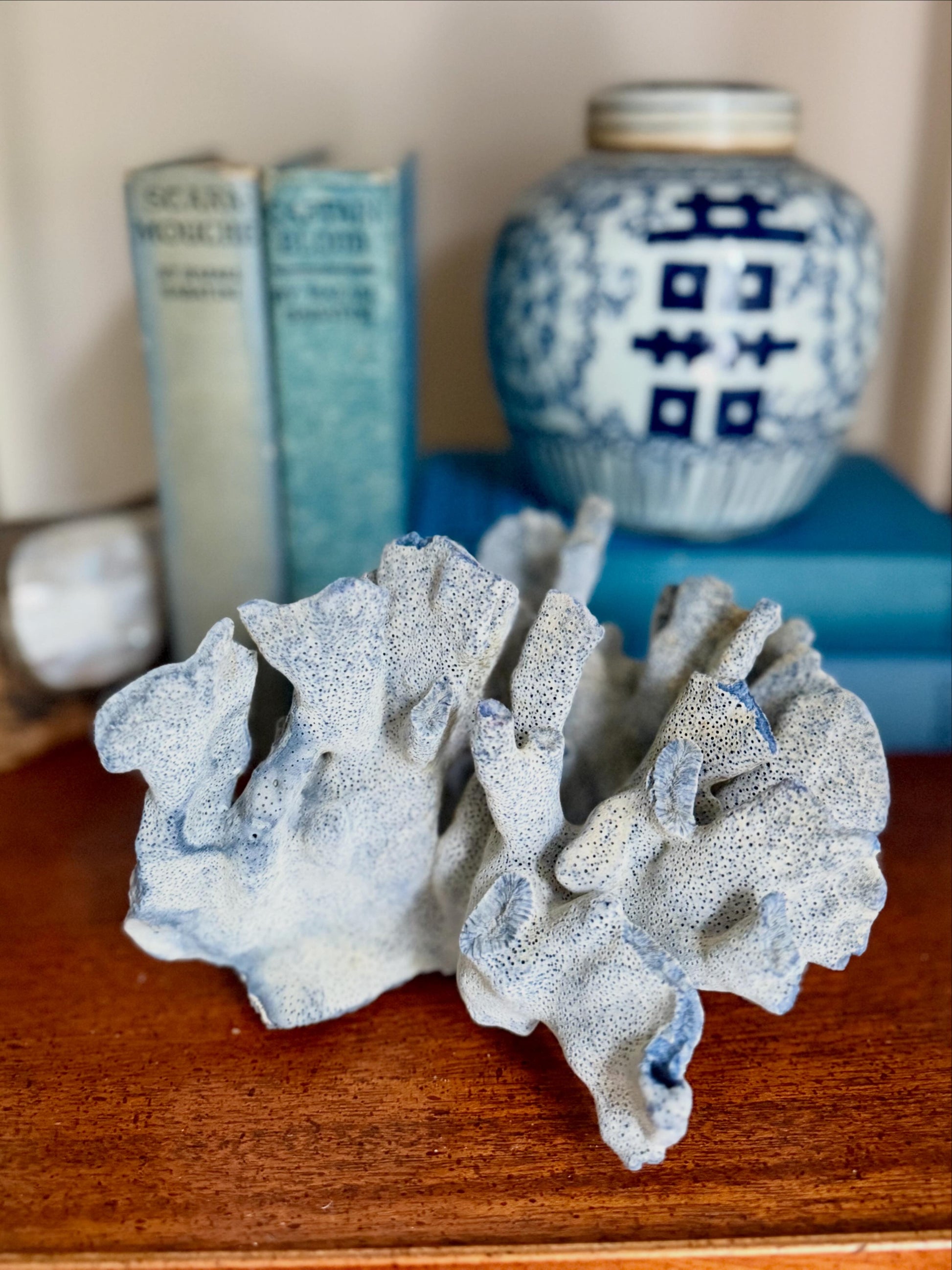 Natural Blue Ridge Coral