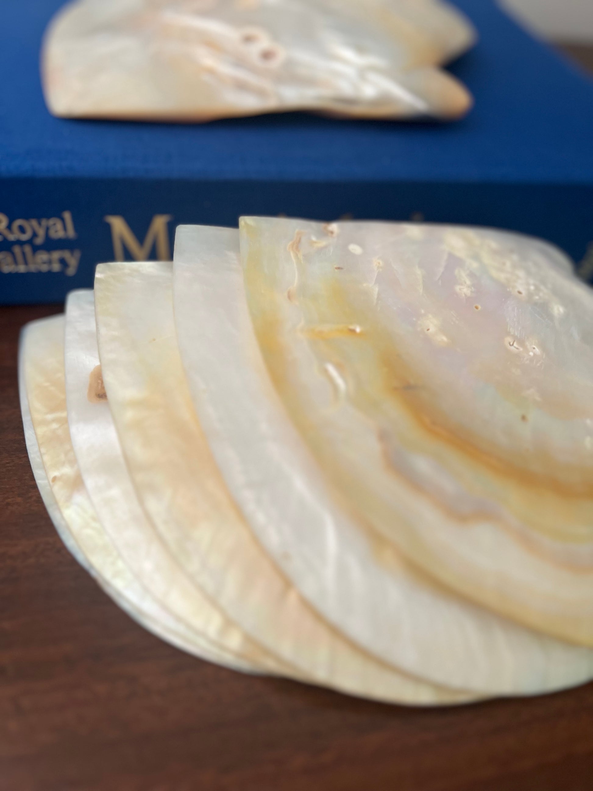 Set of 14 Polished Mother of Pearl Plates and Dishes