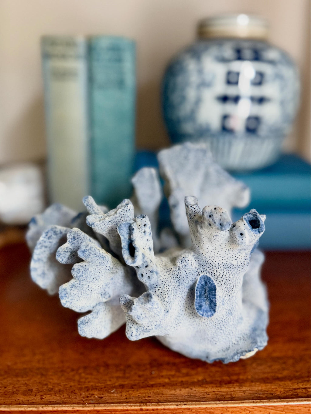 Natural Blue Ridge Coral